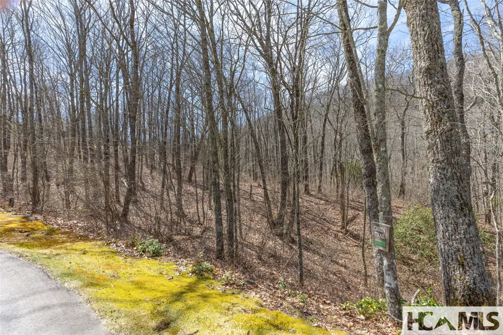 Lot 10 Trailhead Way Glenville, NC 28736