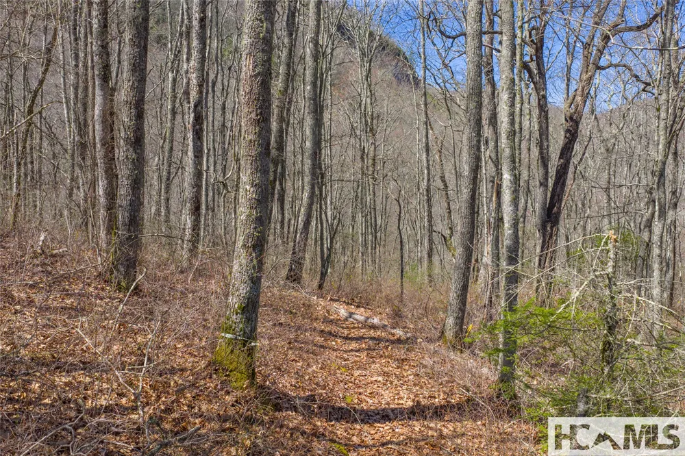 Lot 10 Trailhead Way Glenville, NC 28736