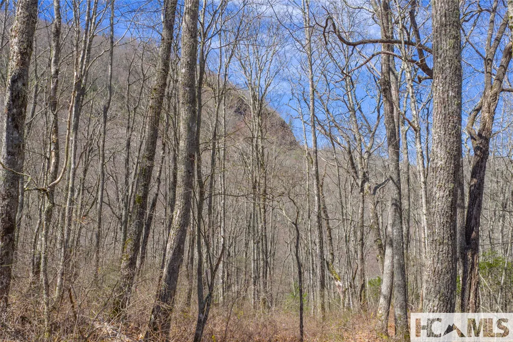 Lot 10 Trailhead Way Glenville, NC 28736