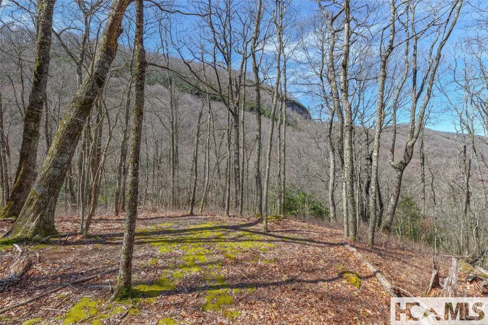 Lot 10 Trailhead Way Glenville, NC 28736