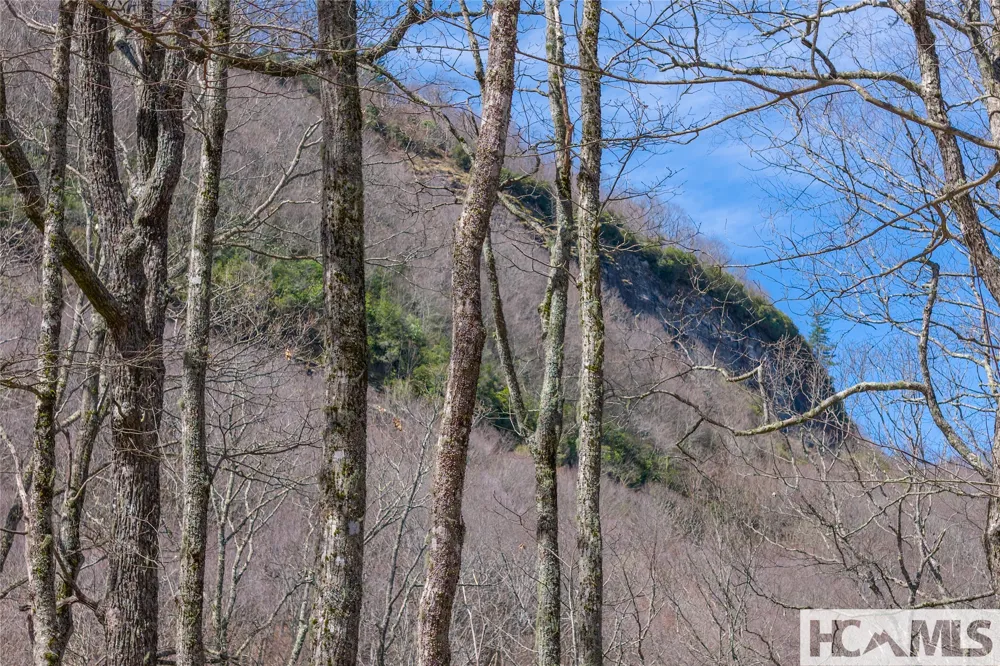 Lot 10 Trailhead Way Glenville, NC 28736