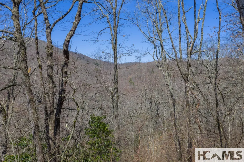 Lot 10 Trailhead Way Glenville, NC 28736