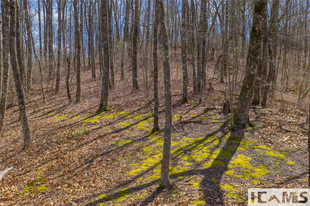 Lot 10 Trailhead Way Glenville, NC 28736