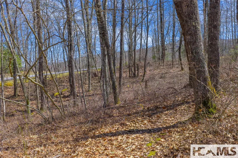 Lot 10 Trailhead Way Glenville, NC 28736