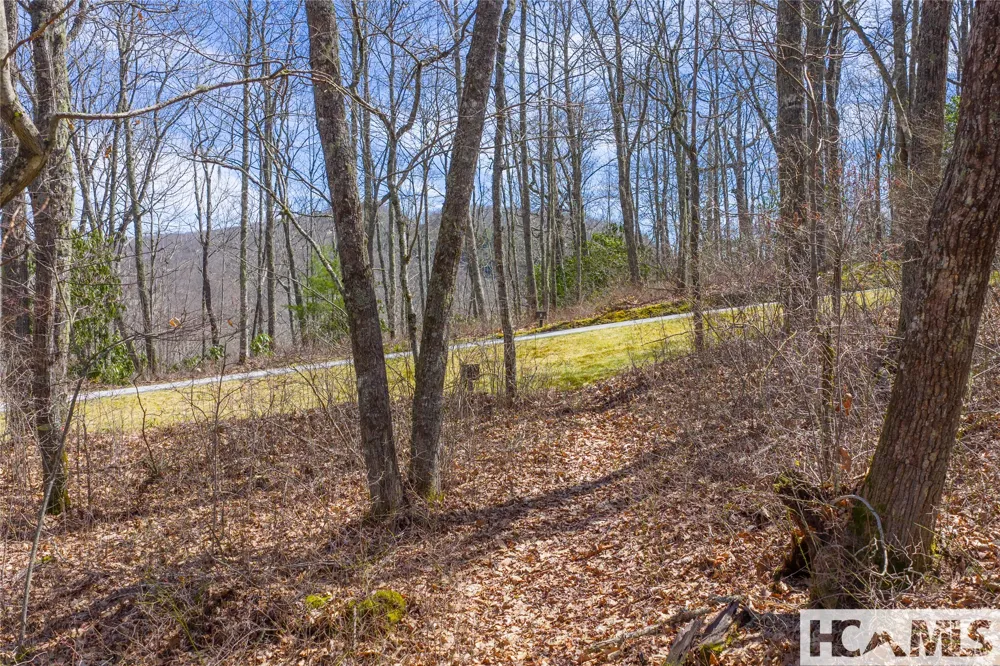 Lot 10 Trailhead Way Glenville, NC 28736