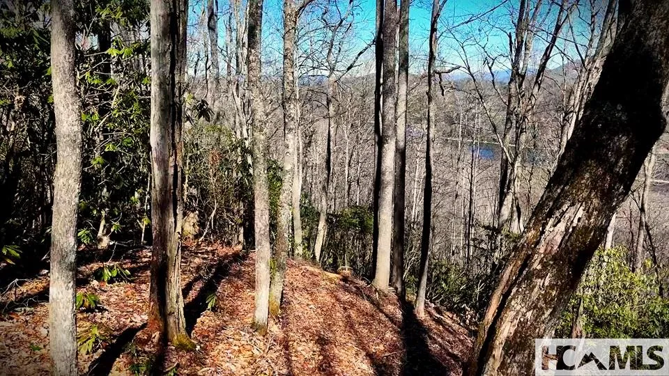 20 Bright Mountain Road Cullowhee, NC 28723