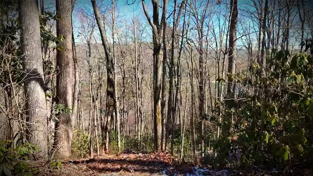 20 Bright Mountain Road Cullowhee, NC 28723