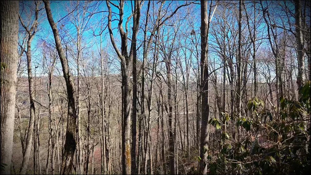 20 Bright Mountain Road Cullowhee, NC 28723