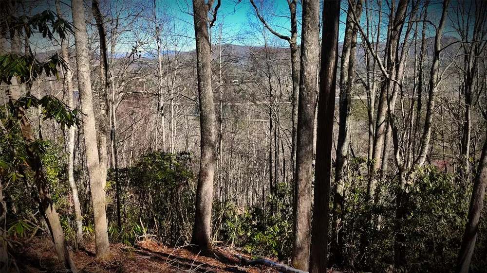 20 Bright Mountain Road Cullowhee, NC 28723
