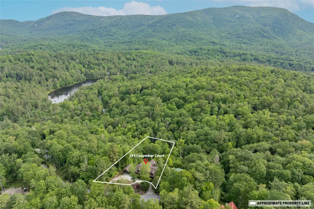 193 Cucumber Court Sapphire, NC 28774