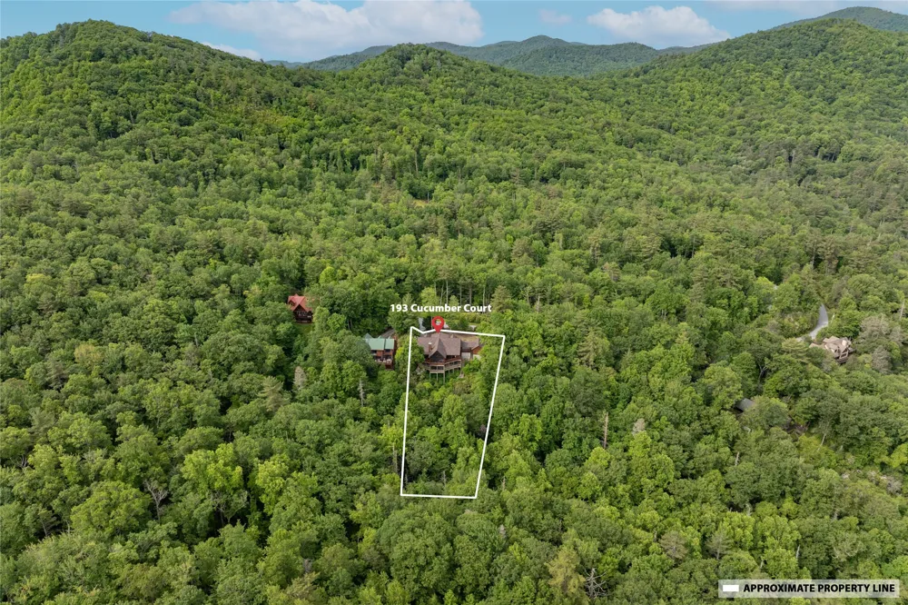 193 Cucumber Court Sapphire, NC 28774