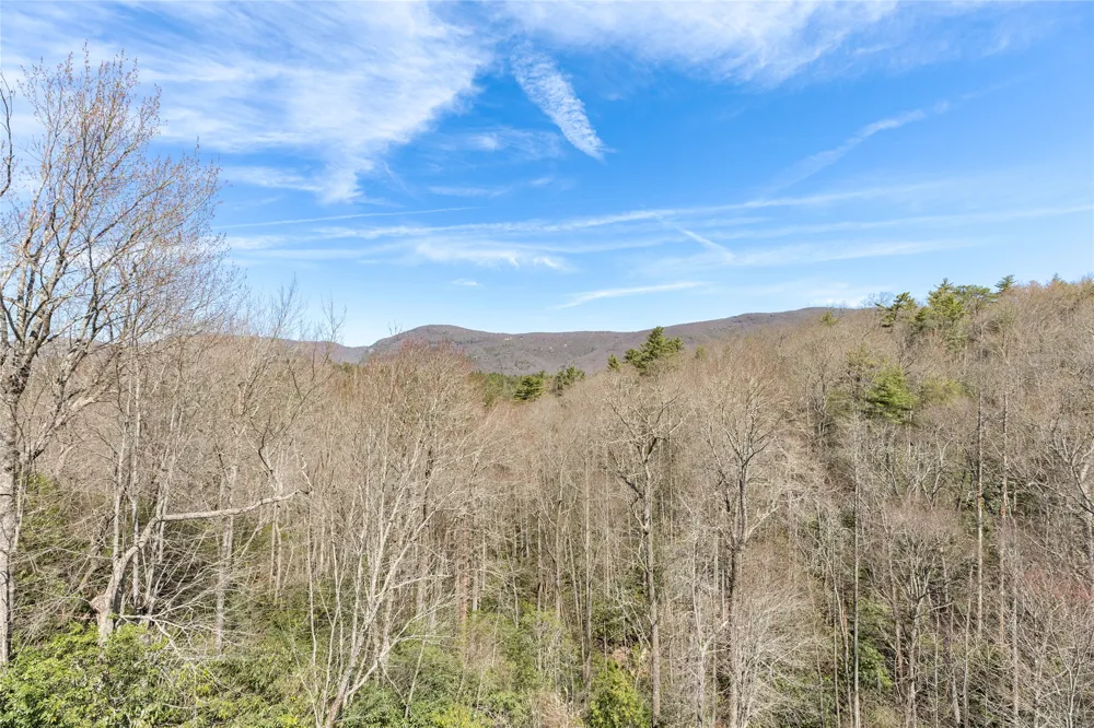 193 Cucumber Court Sapphire, NC 28774