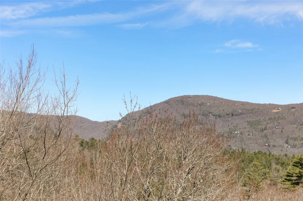 193 Cucumber Court Sapphire, NC 28774