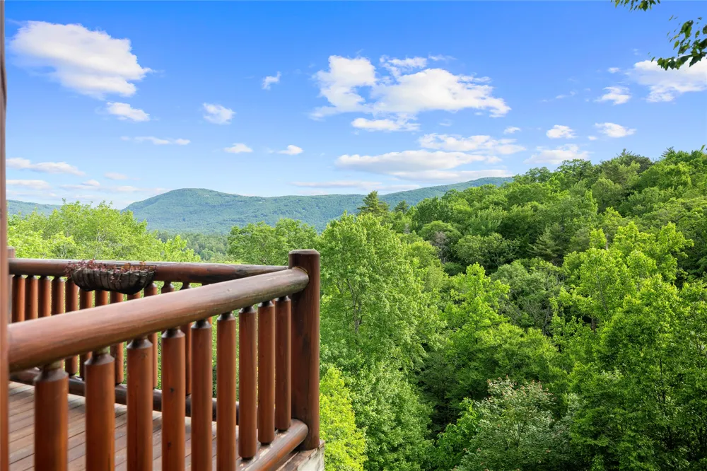 193 Cucumber Court Sapphire, NC 28774