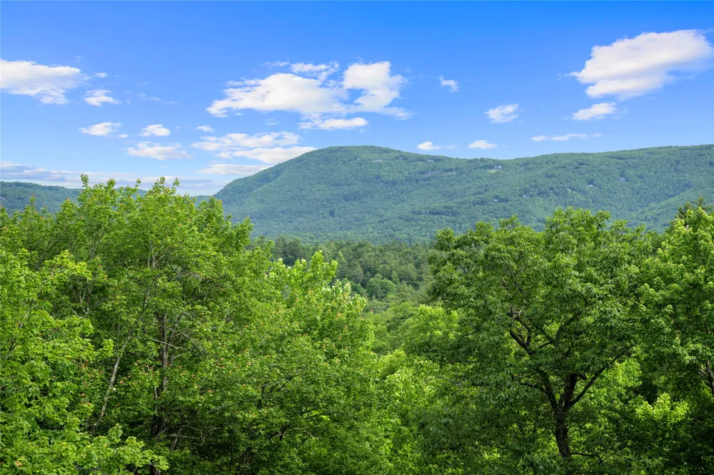 193 Cucumber Court Sapphire, NC 28774