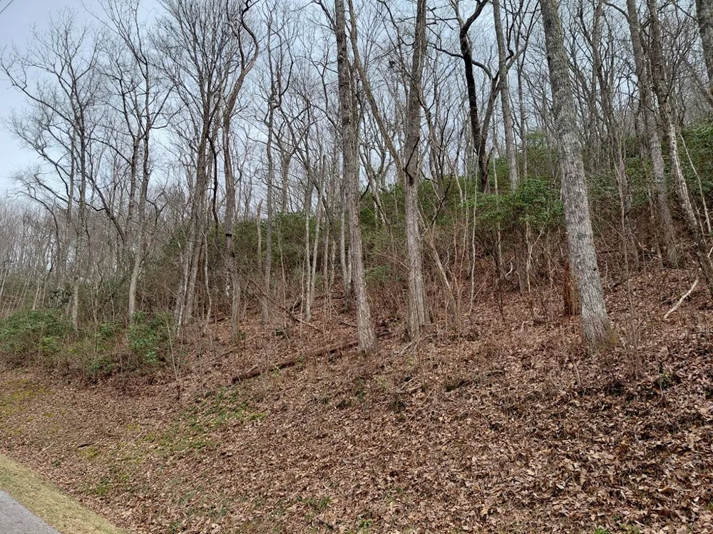 Houndog Trail Bryson City, NC 28713