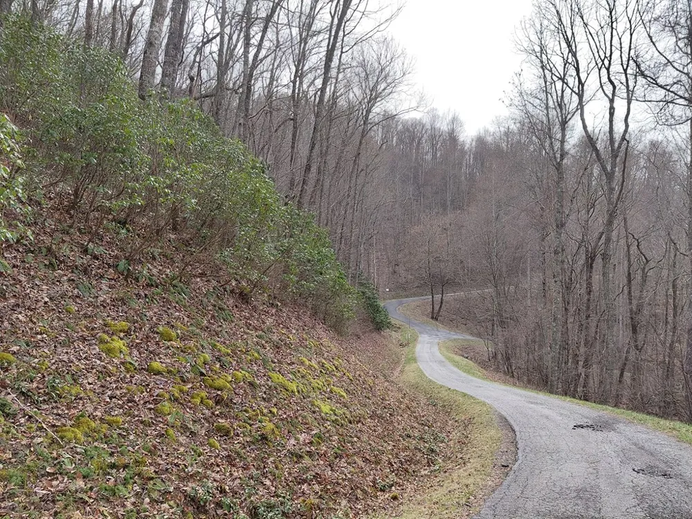 Houndog Trail Bryson City, NC 28713