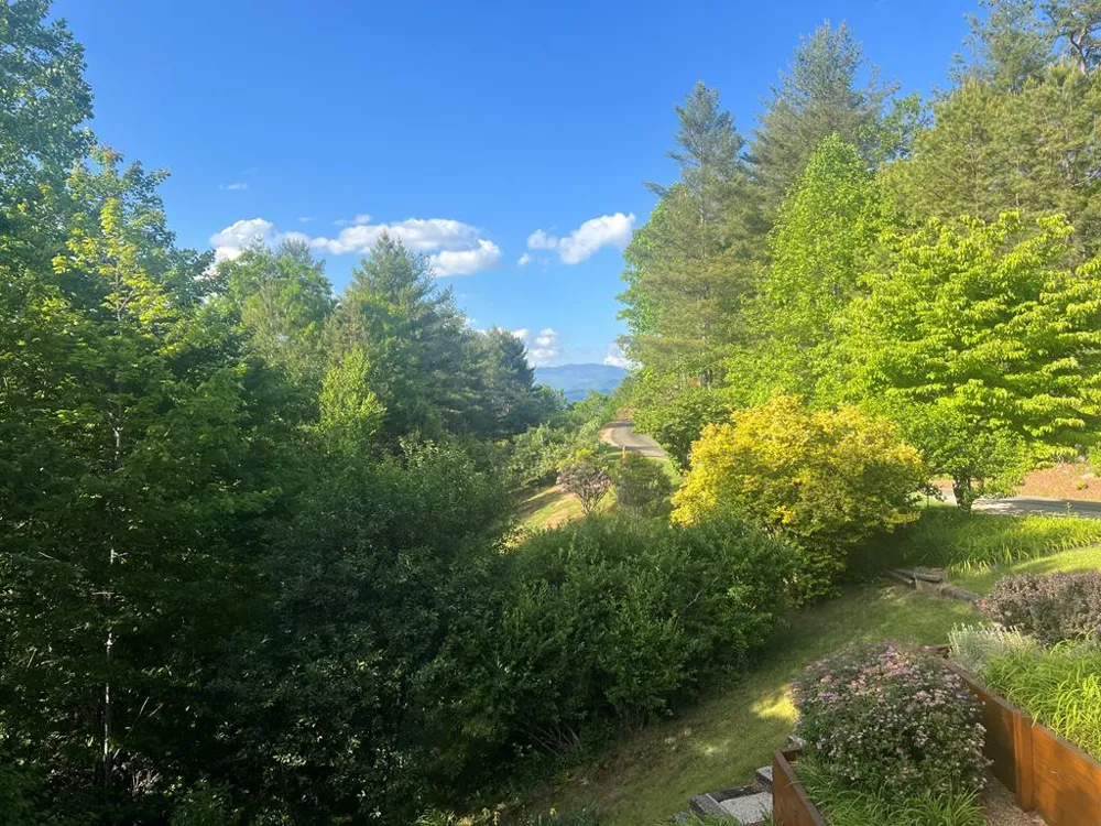 Double Springs Drive Almond, NC 28702