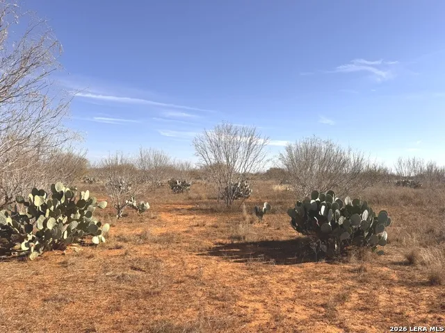 TR 1 W Highway 85 Dilley, TX 78017