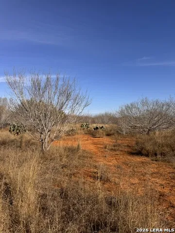 TR 1 W Highway 85 Dilley, TX 78017