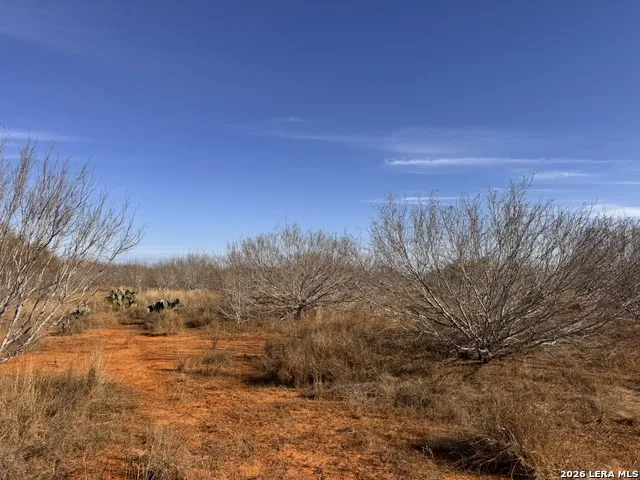 TR 1 W Highway 85 Dilley, TX 78017