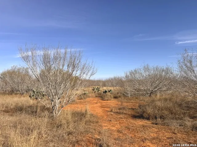 TR 1 W Highway 85 Dilley, TX 78017