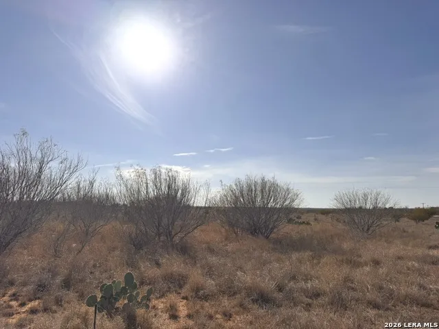 TR 1 W Highway 85 Dilley, TX 78017