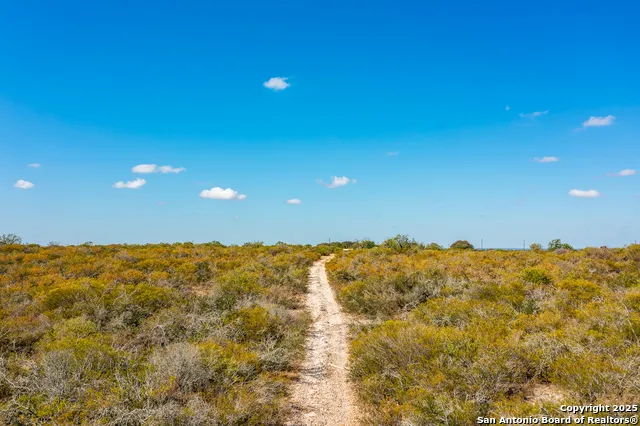 840 county road 652 Devine, TX 78016