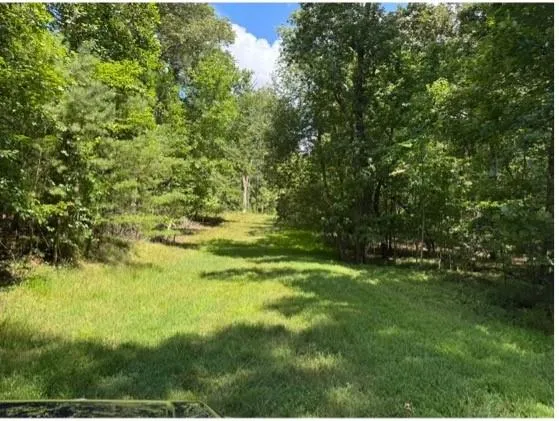 2320 Hardman Road Clarkesville, GA 30523