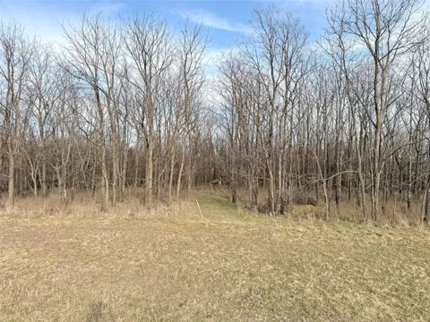 15 Chalybeate Drive