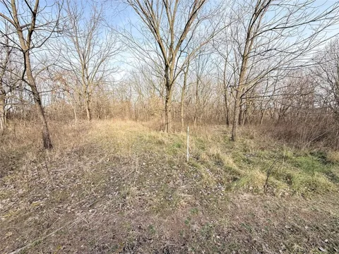 2 Chalybeate