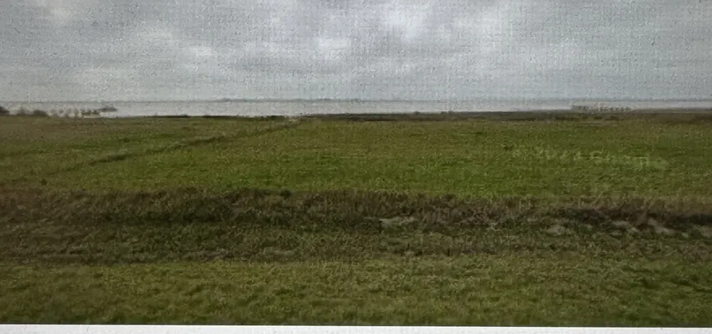 938 Porpoise Drive Palacios, TX 77465