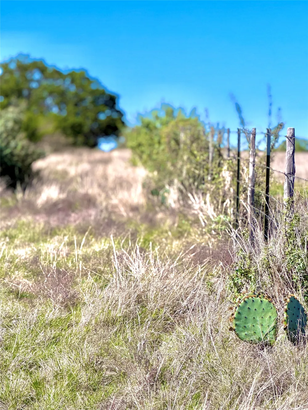 19 Buckskin Path Fredericksburg, TX 78624