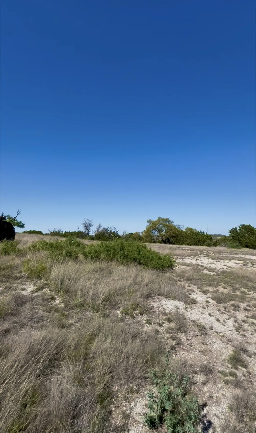 19 Buckskin Path Fredericksburg, TX 78624