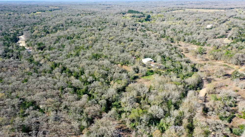 6615 County Road 308 Caldwell, TX 77836