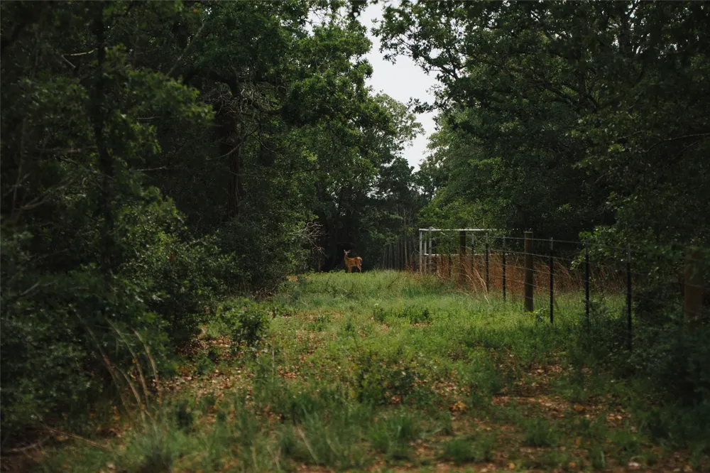 St Delight Road Paige, TX 78659