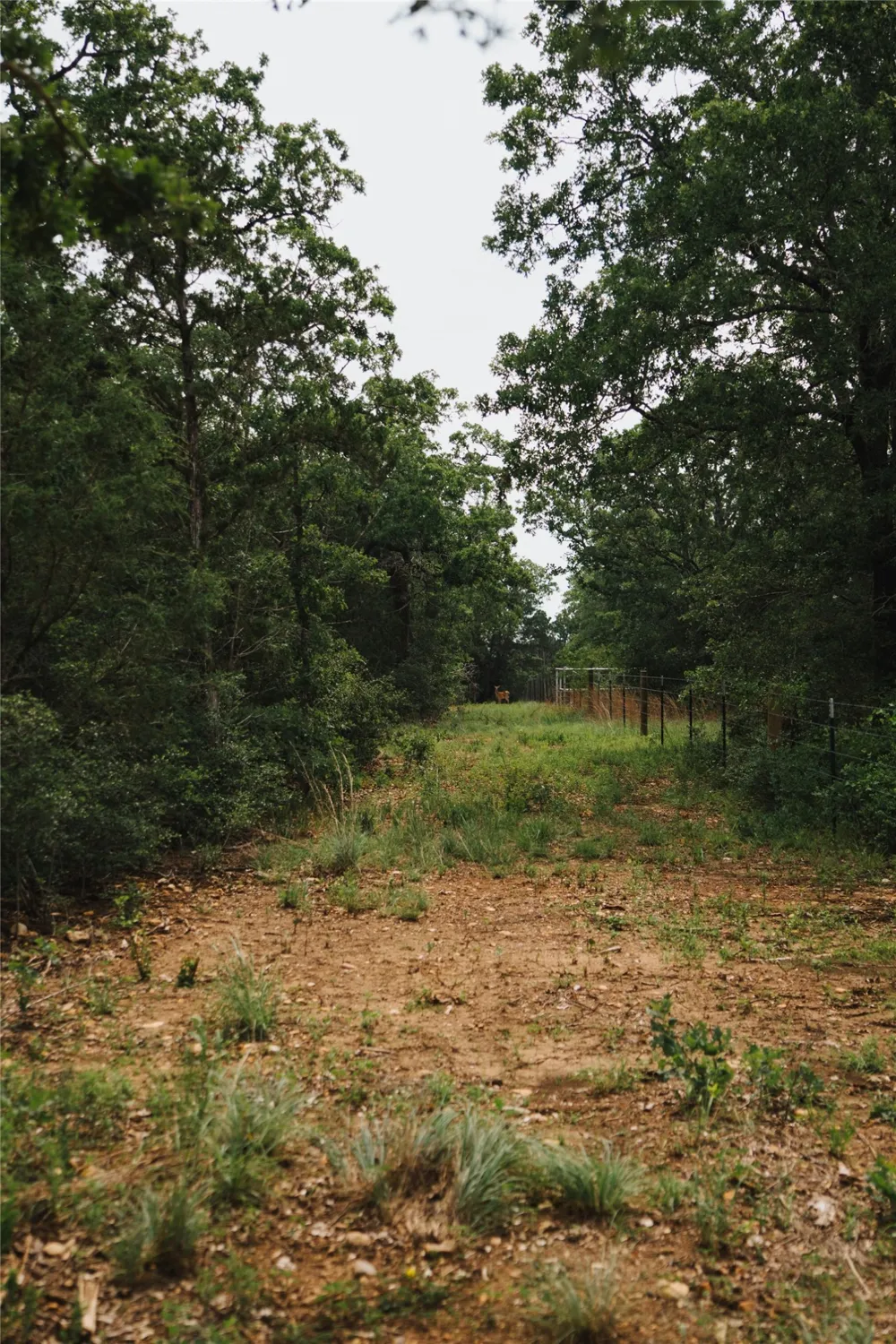 St Delight Road Paige, TX 78659