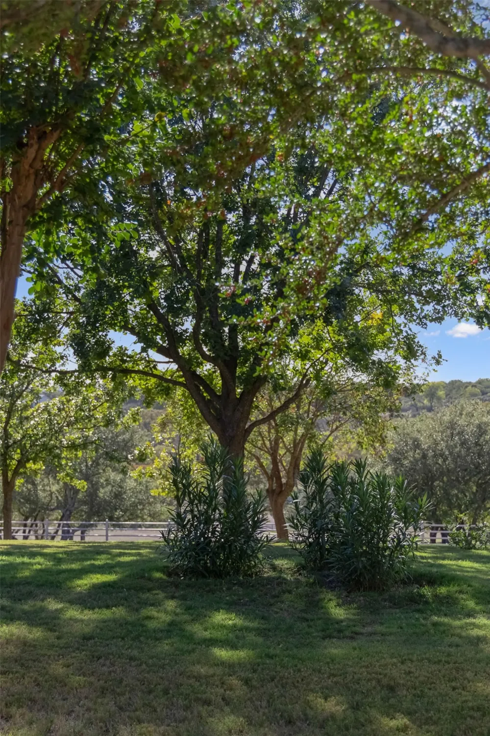 521 Bluff Creek Road Road Center Point, TX 78010
