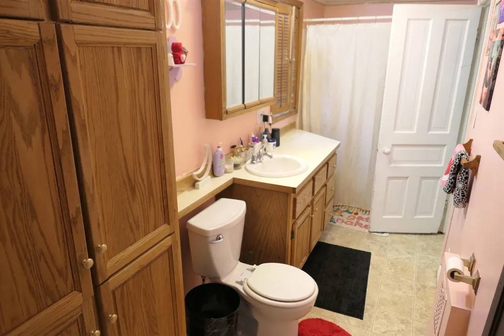 424 S Kinney Street Mt Pleasant City, MI 48858