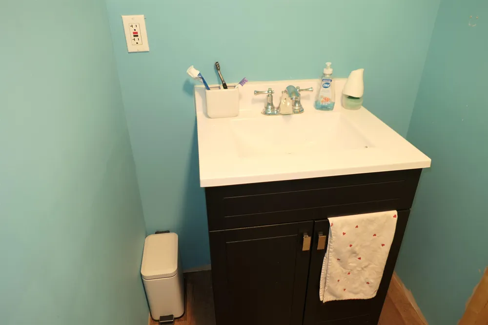 424 S Kinney Street Mt Pleasant City, MI 48858