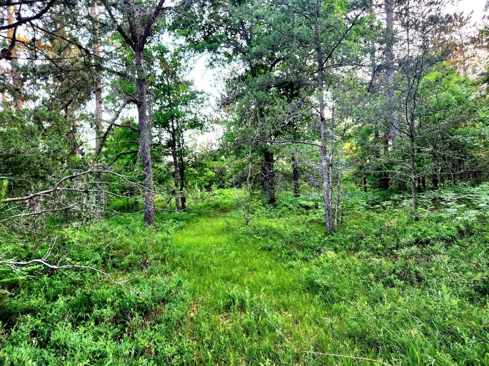2498 W Five Mile Road Beaver Creek Township, MI 49738