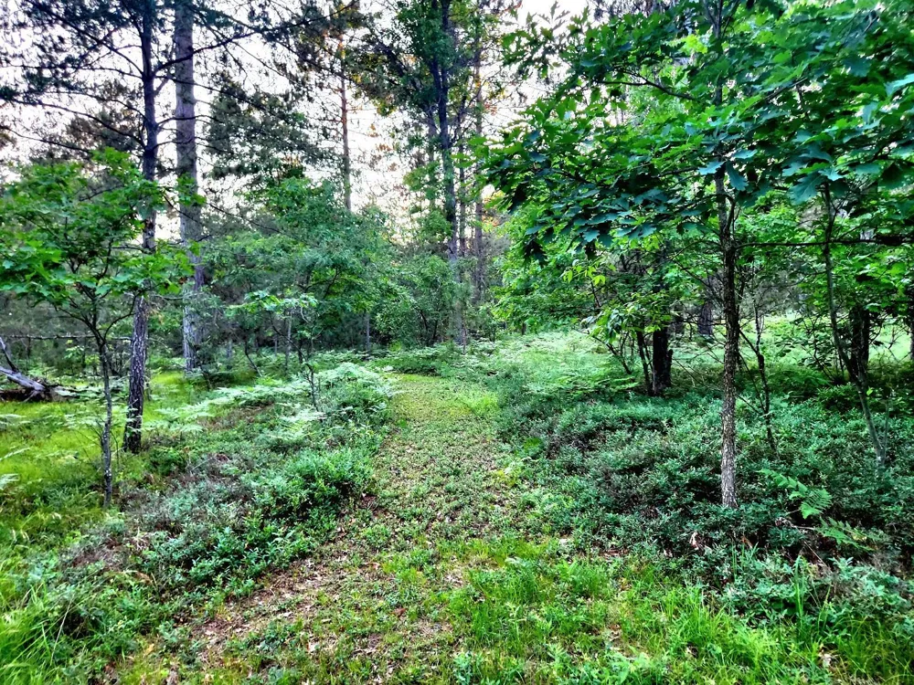 2498 W Five Mile Road Beaver Creek Township, MI 49738