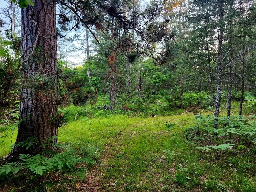 2498 W Five Mile Road Beaver Creek Township, MI 49738