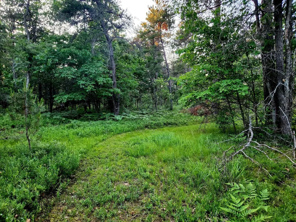2498 W Five Mile Road Beaver Creek Township, MI 49738