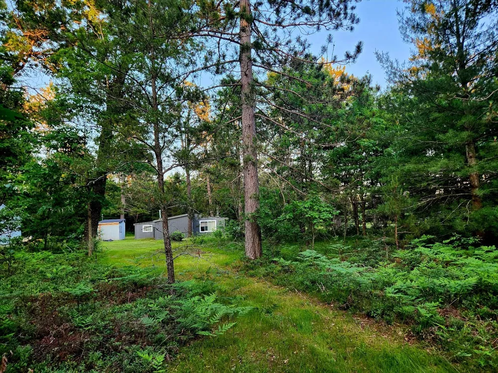 2498 W Five Mile Road Beaver Creek Township, MI 49738