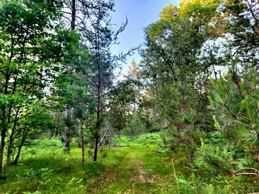 2498 W Five Mile Road Beaver Creek Township, MI 49738