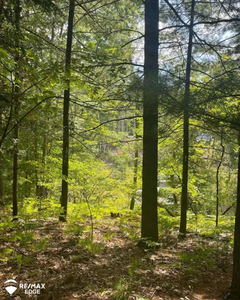 Eagle Nest Lane