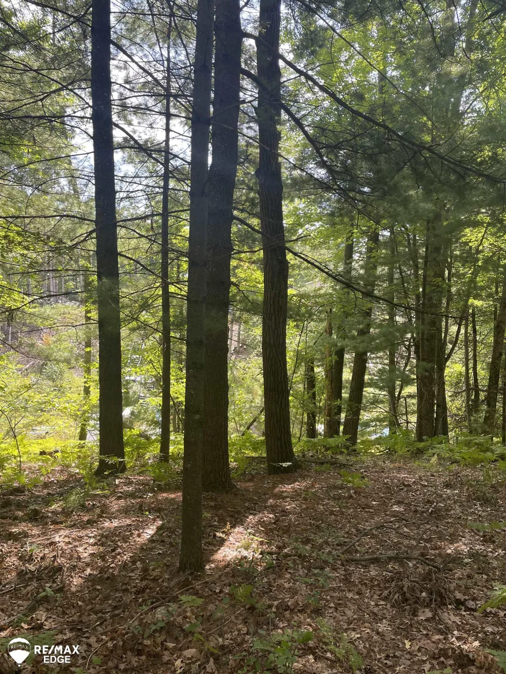 Eagle Nest Lane Moffatt Township, MI 48610