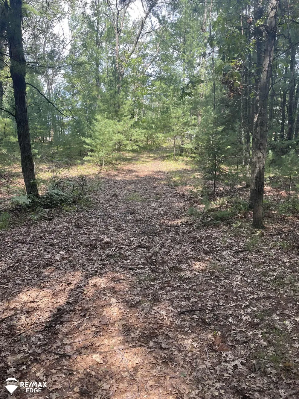 Eagle Nest Lane Moffatt Township, MI 48610