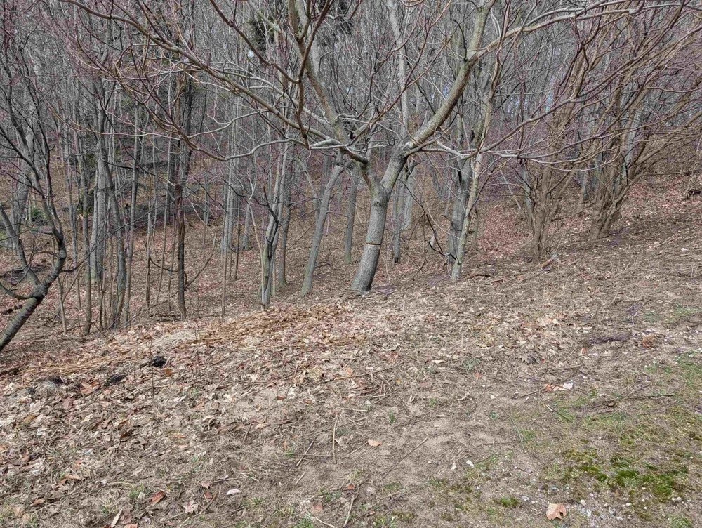 6625 Forest Beach Drive Laketown Township, MI 49423
